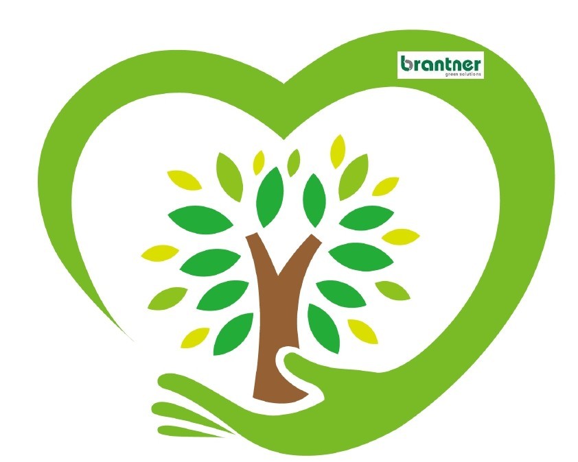 🌲 Medzinárodný deň lesov: Lesy si zaslúžia viac než len obdiv